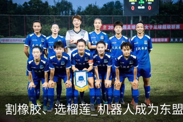 割橡胶、选榴莲 机器人成为东盟市场“新宠” 各国释放明确需求信号